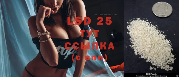 индика Абинск