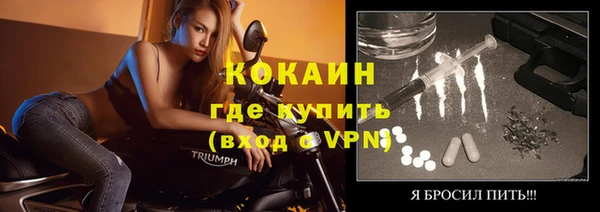 индика Абинск