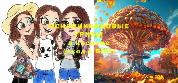 прущие крисы Абаза