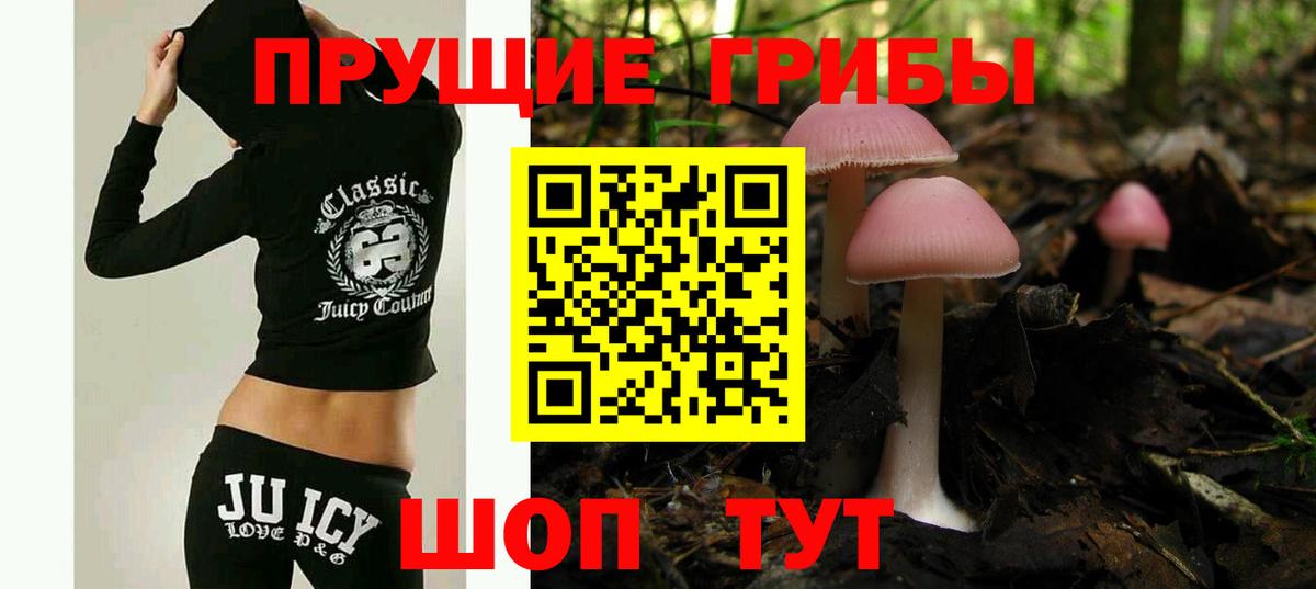 Псилоцибиновые грибы GOLDEN TEACHER Электросталь