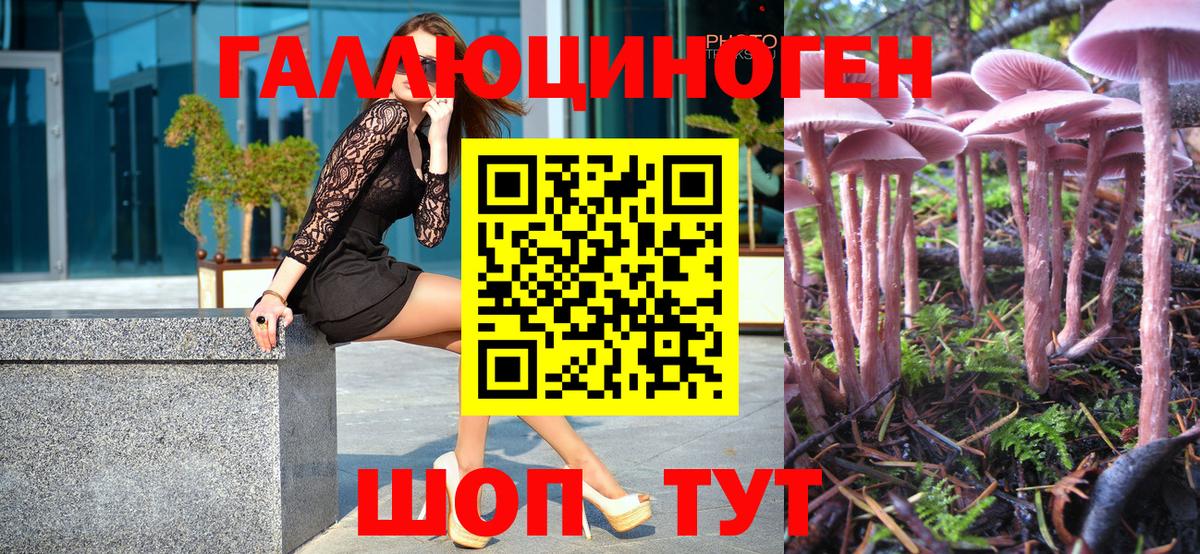Электросталь  Галлюциногенные грибы GOLDEN TEACHER  Вход с VPN 