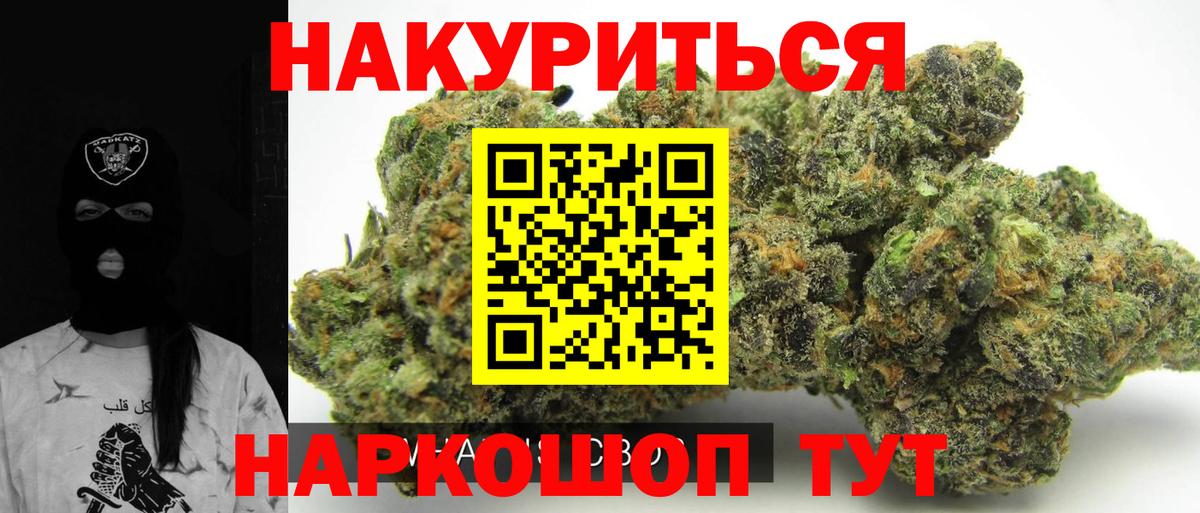 Бошки марихуана план  Вход с VPN  Электросталь  Каннабис AK-47 
